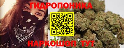 2c-b Краснознаменск