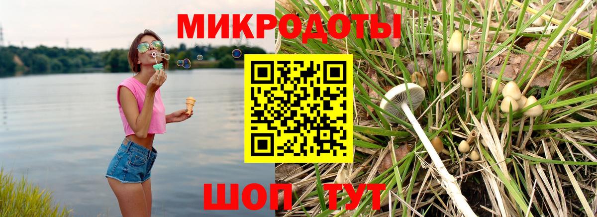 Армавир  Псилоцибиновые грибы Psilocybine cubensis  Вход с VPN  Псилоцибиновые грибы Cubensis 