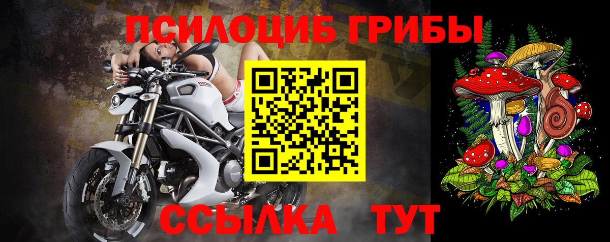 Псилоцибиновые грибы мухоморы Армавир